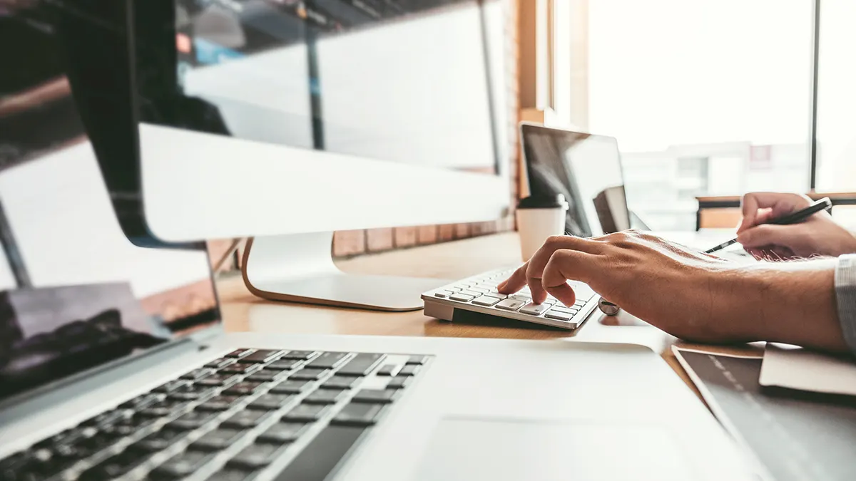 website management and consultant